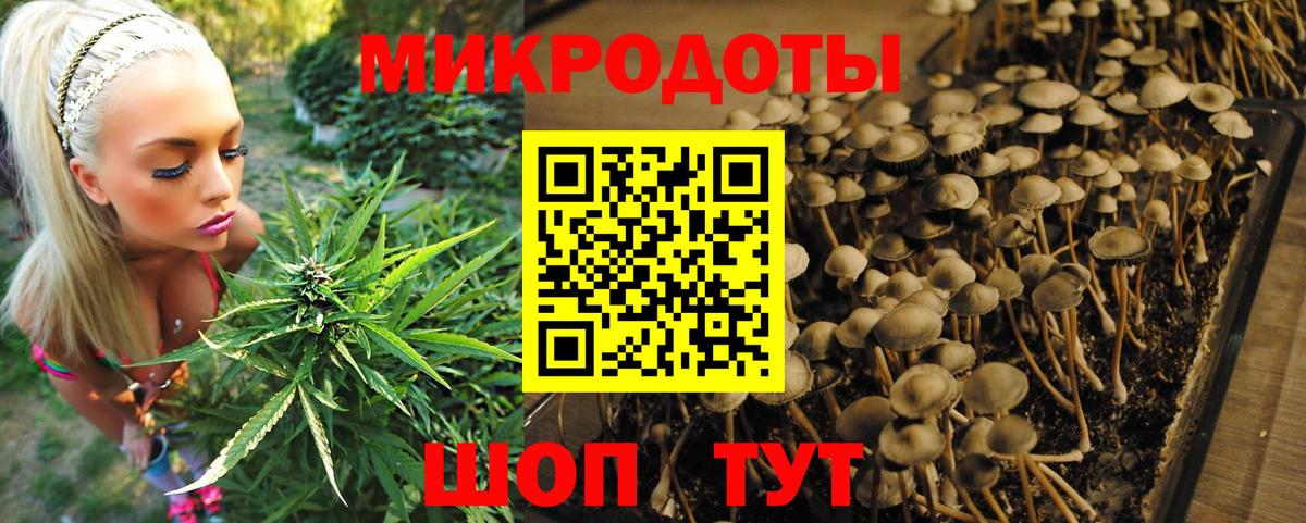 Псилоцибиновые грибы ЛСД Коряжма