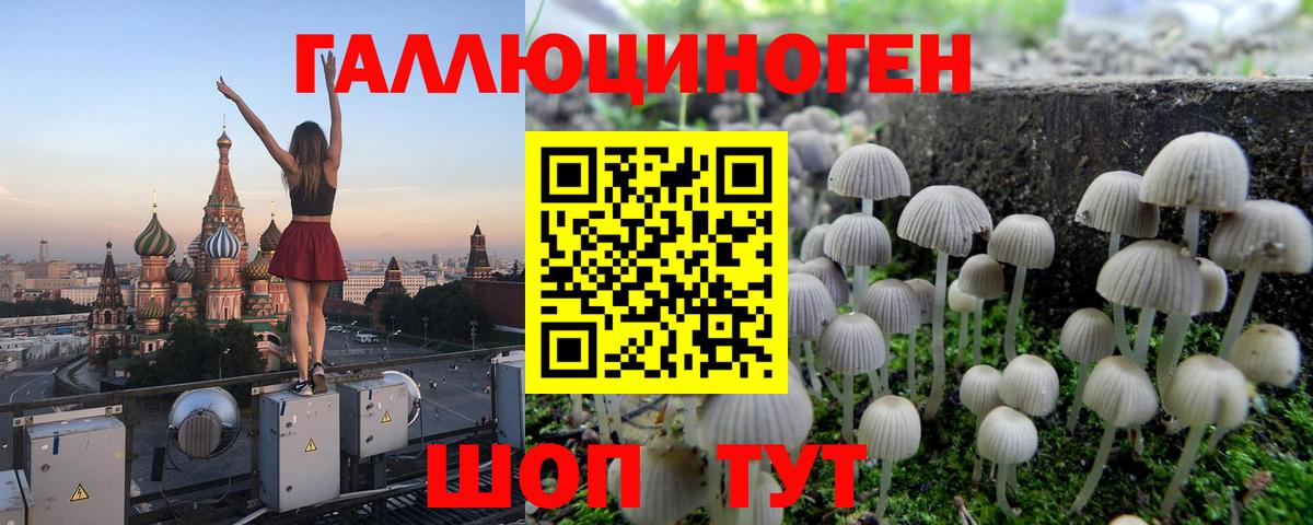 Галлюциногенные грибы Psilocybine cubensis  Вход с VPN  Коряжма 